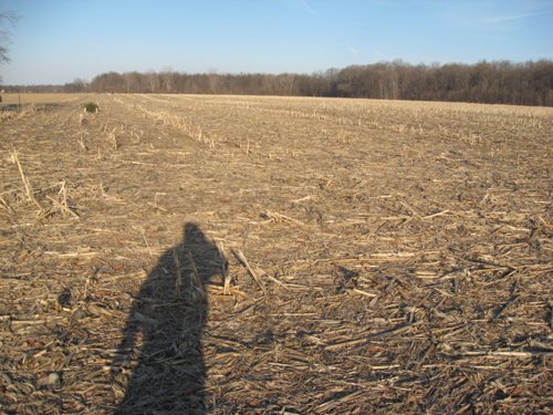 Property photo 23 - 44 Acres Offered in 3 Tracts